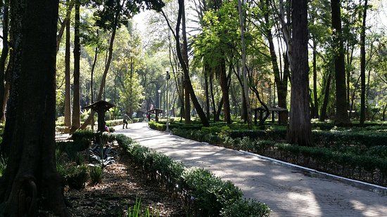 Colonia Condesa